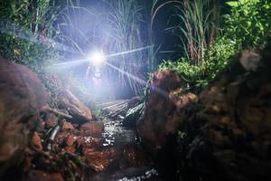 BIB: 
                            <button type="button" onclick="openModal(26413811)" class="btn btn-primary btn-sm float-right btn-popup" data-toggle="modal" data-target=".modal-high-quality">
                        <i class="fas fa-shopping-cart"></i> Add to Cart
                    </button>
                                            <button type="button" onclick="isThisMe(26413811, true)" class="btn btn-success btn-sm float-right btn-popup btn-isme hidden" data-toggle="tooltip" data-placement="bottom" title="นี่คือรูปของคุณใช่ไหม คลิกที่นี่เพื่อเอาเข้าอัลบั้ม">
                        <i class="fas fa-plus"></i> Add to album
                    </button>
                    <button type="button" onclick="isThisMe(26413811, false)" class="btn btn-warning btn-sm float-right btn-popup btn-isnotme hidden">
                        <i class="fas fa-ban"></i> Remove from album
                    </button>